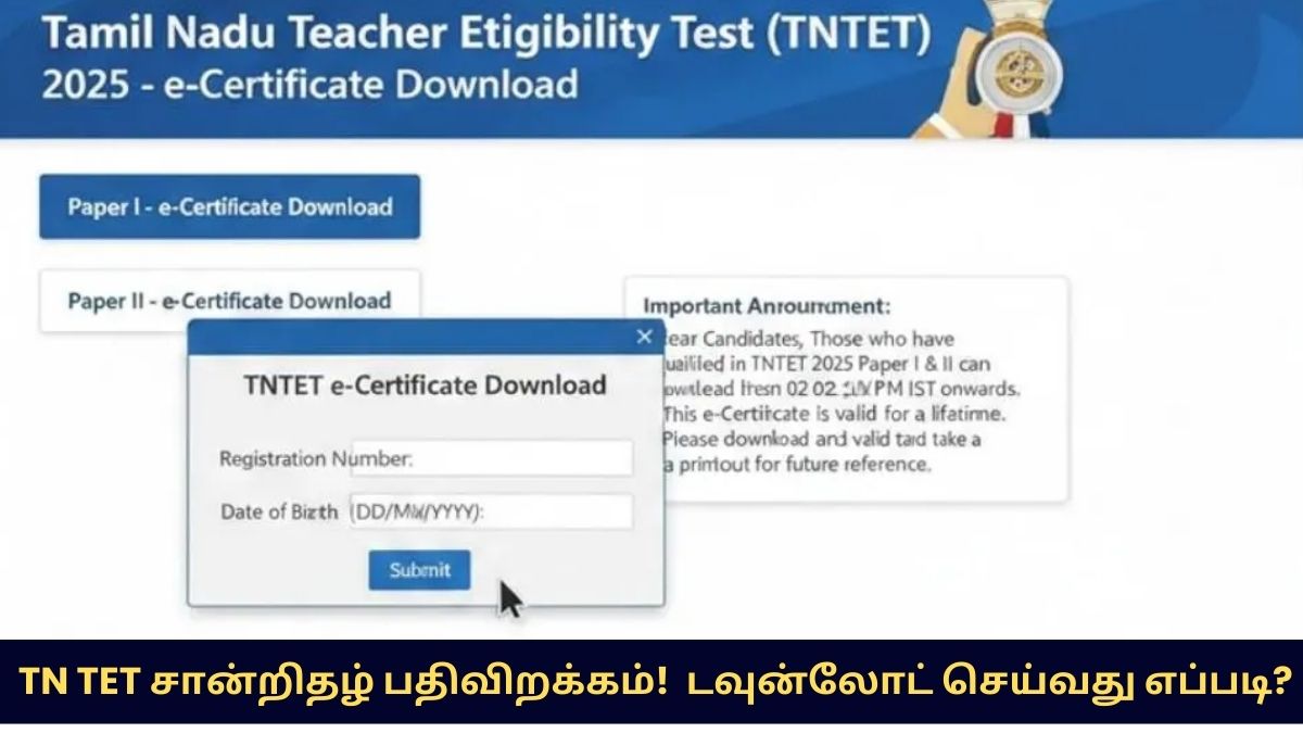 TN TET Certificate Download 2026